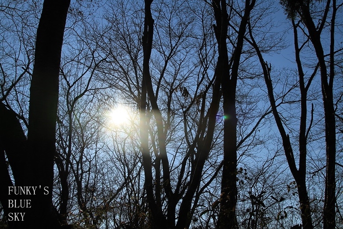c0145250_9551169.jpg