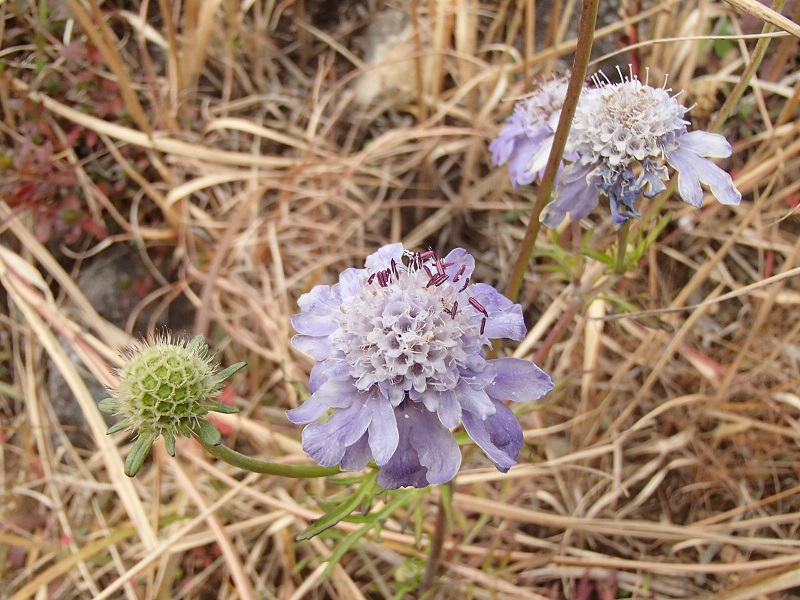b0276758_144787.jpg