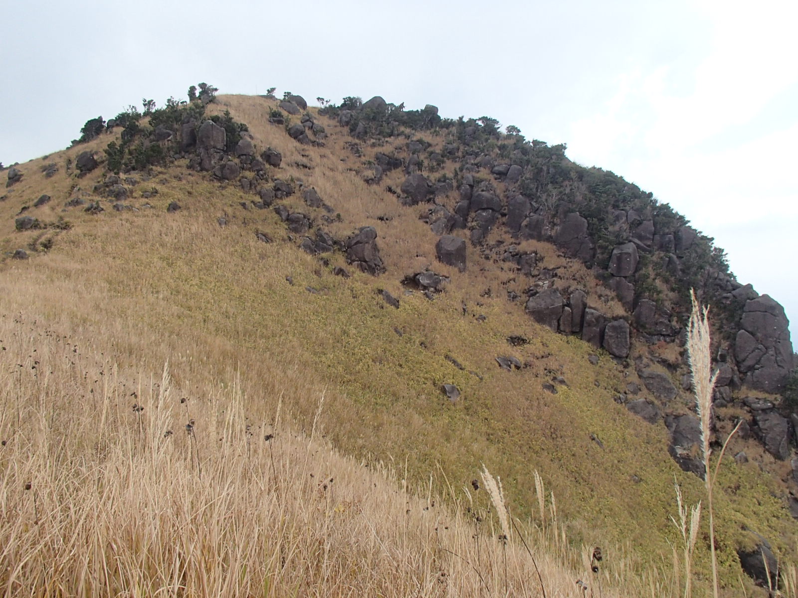 b0276758_1448447.jpg