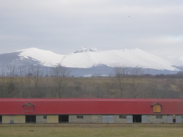 f0056261_0593491.jpg