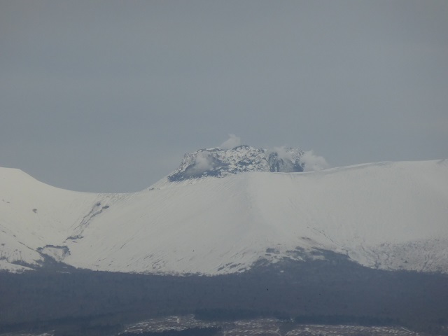 f0056261_111539.jpg