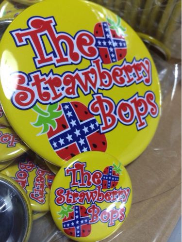 ☆The Strawberry Bops☆初遠征LIVE福岡_c0251566_1345463.jpg