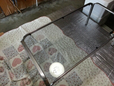 d0001177_16282534.jpg