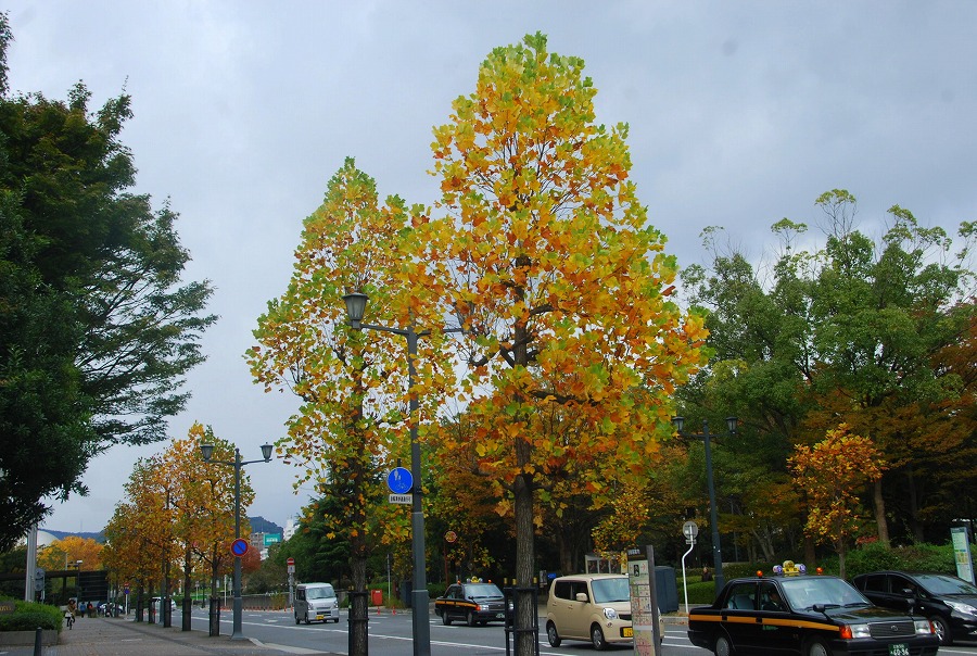 c0187781_19261984.jpg
