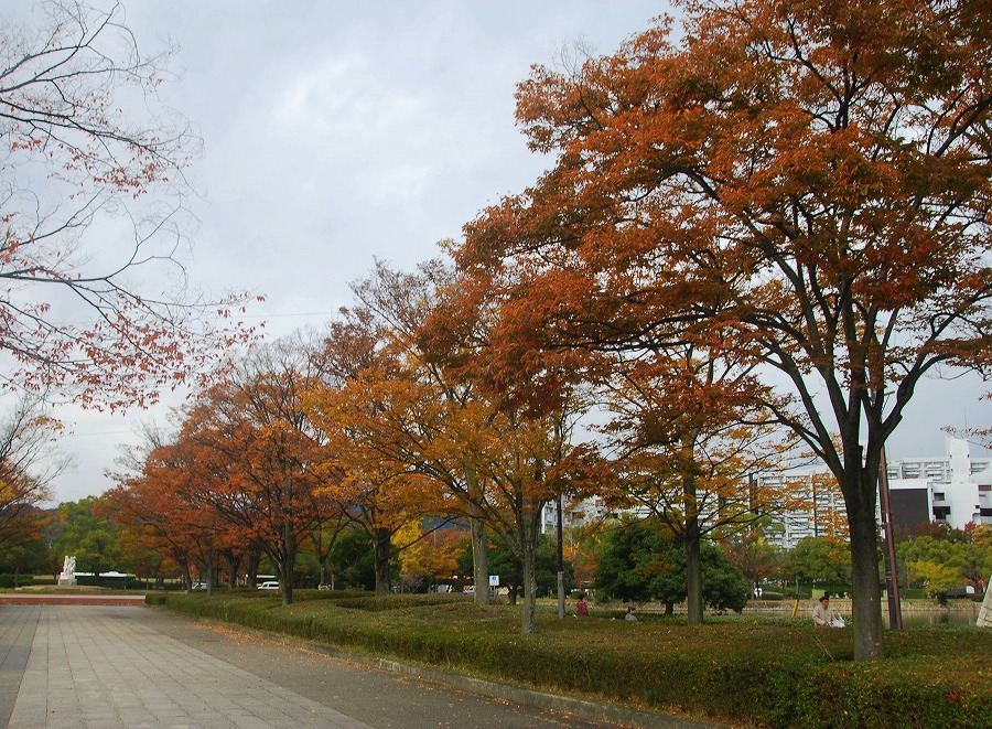 c0187781_19502997.jpg