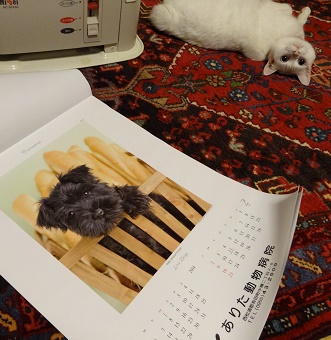 カレンダー_d0195183_2155953.jpg