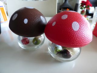 2013年12月11日 クサマヤヨイ・・・_b0098584_2216280.jpg