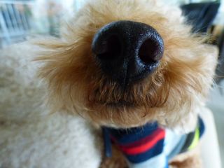 2013年12月11日 クサマヤヨイ・・・_b0098584_22164378.jpg