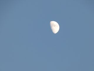 2013年12月11日 クサマヤヨイ・・・_b0098584_22173632.jpg
