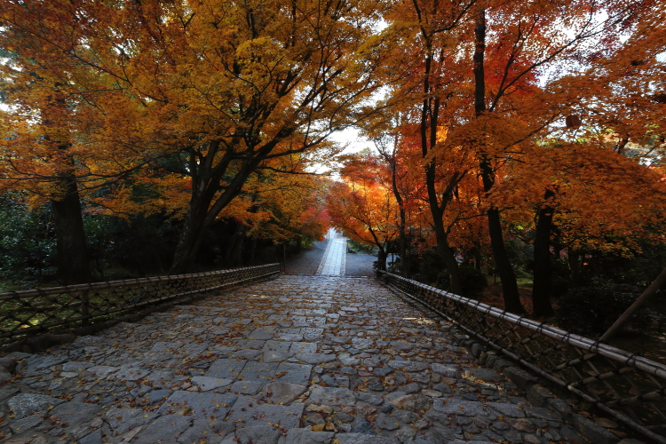 龍安寺_e0051888_23243122.jpg