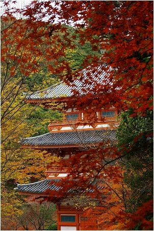 清水寺の紅葉_e0176993_1340036.jpg