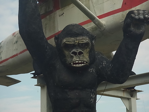 f0229593_2126145.jpg