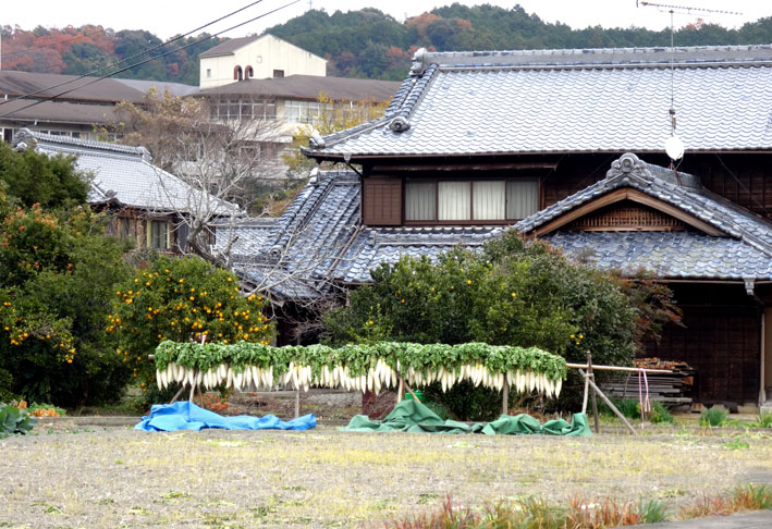 師走の里の風景_b0145296_1023289.jpg