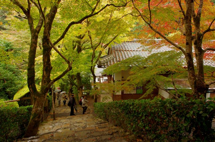 今年の京都は寒かった－１１　　大原、寂光院　その２_e0079696_1010206.jpg