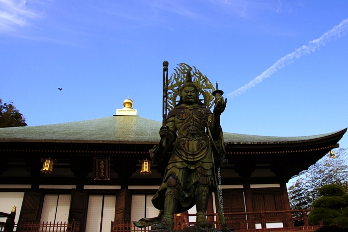 鎌倉紅葉巡り 長勝寺と安国論寺の紅葉_b0145398_22301865.jpg