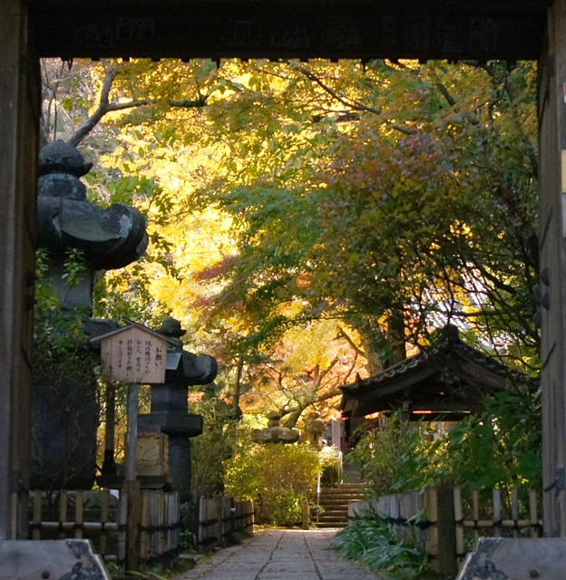 鎌倉紅葉巡り 長勝寺と安国論寺の紅葉_b0145398_22432555.jpg
