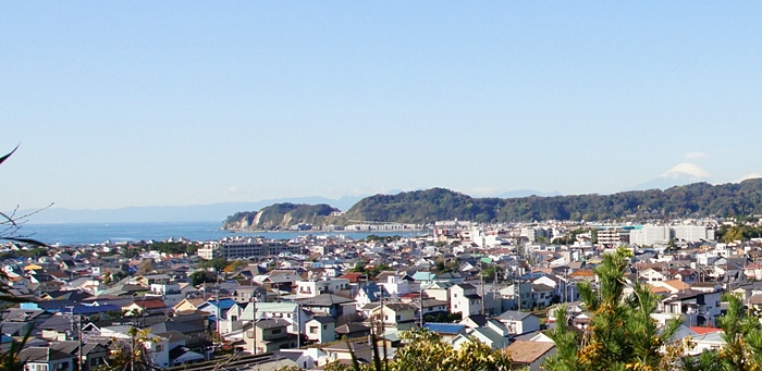 鎌倉紅葉巡り 長勝寺と安国論寺の紅葉_b0145398_22445510.jpg