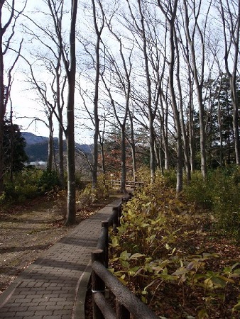 d0069498_16165775.jpg