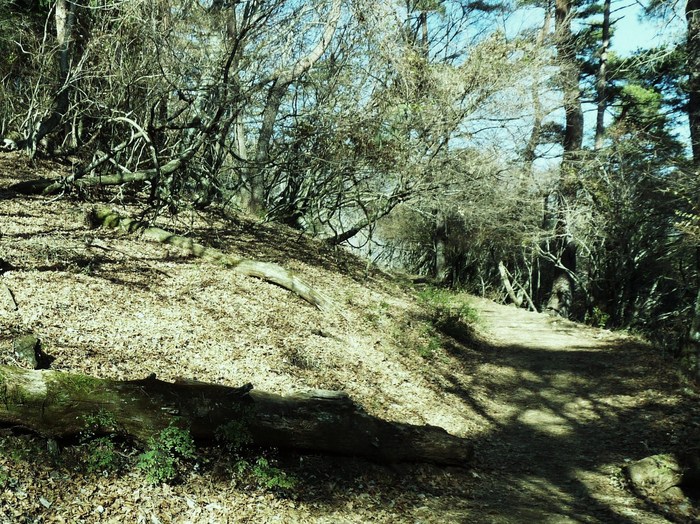 e0169200_2303988.jpg