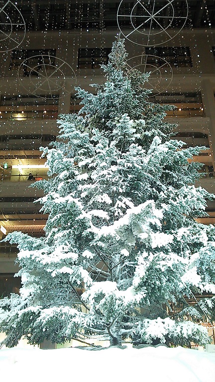 a0057402_22143719.jpg