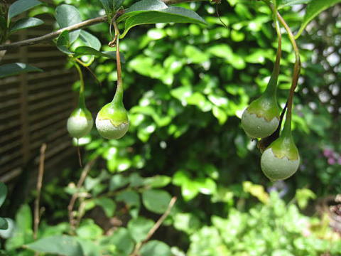 d0046702_9391161.jpg