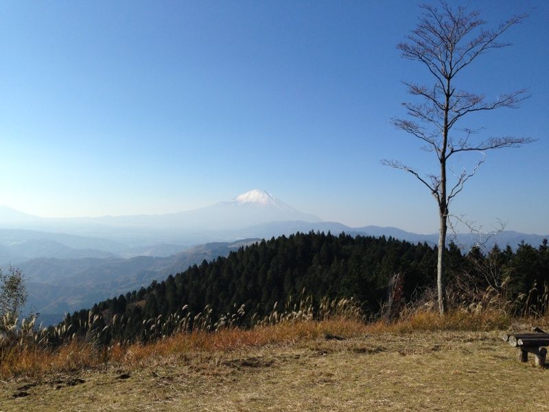 d0148902_21525728.jpg