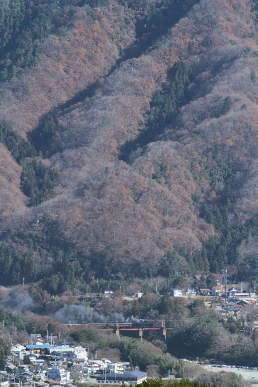 初冬の荒川鉄橋 - 2013年初冬・秩父 - _b0190710_2351073.jpg