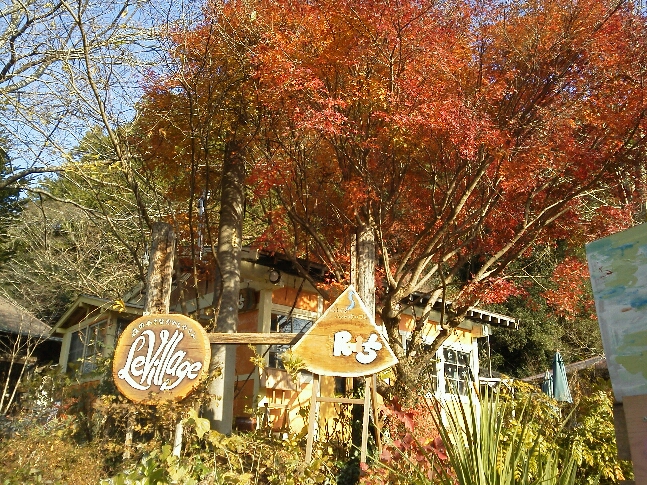 f0251711_0305544.jpg