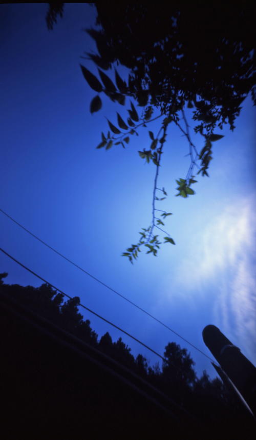 c0016712_15215958.jpg