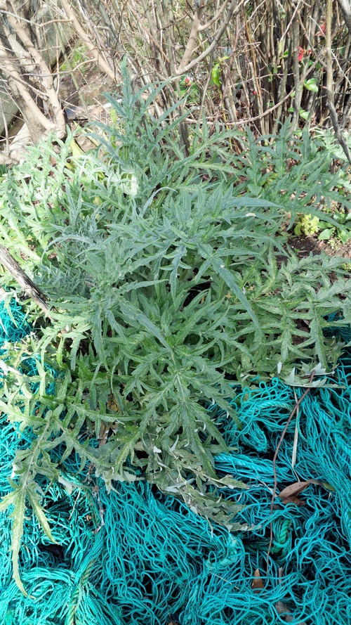 f0226713_12313327.jpg