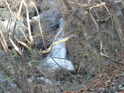 e0284019_1945219.jpg
