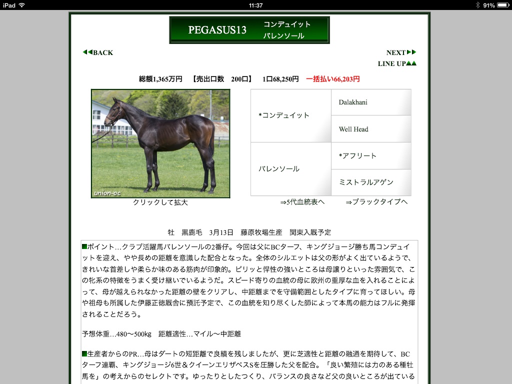 ローレルラシーム 13 12 14 シップウ 13 12 15 初出走します 馬主クラブの研究