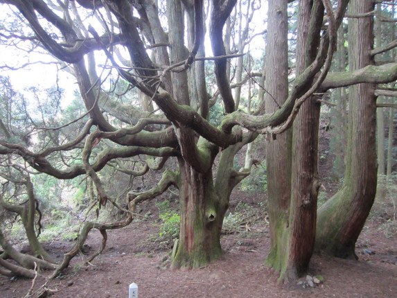 c0079826_143111.jpg