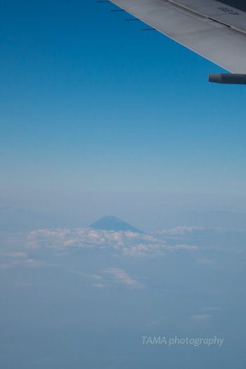 c0024729_2134979.jpg