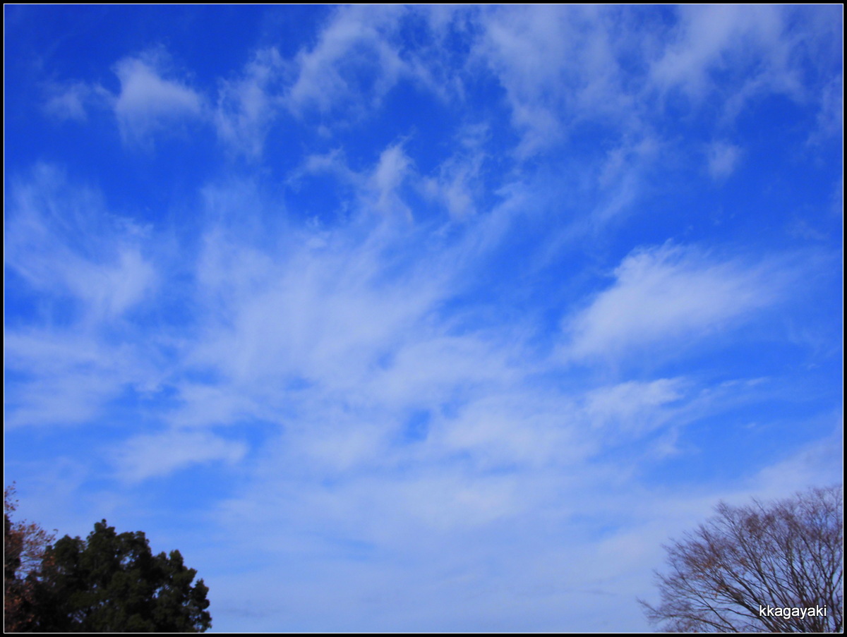 冬の空_e0206242_233374.jpg