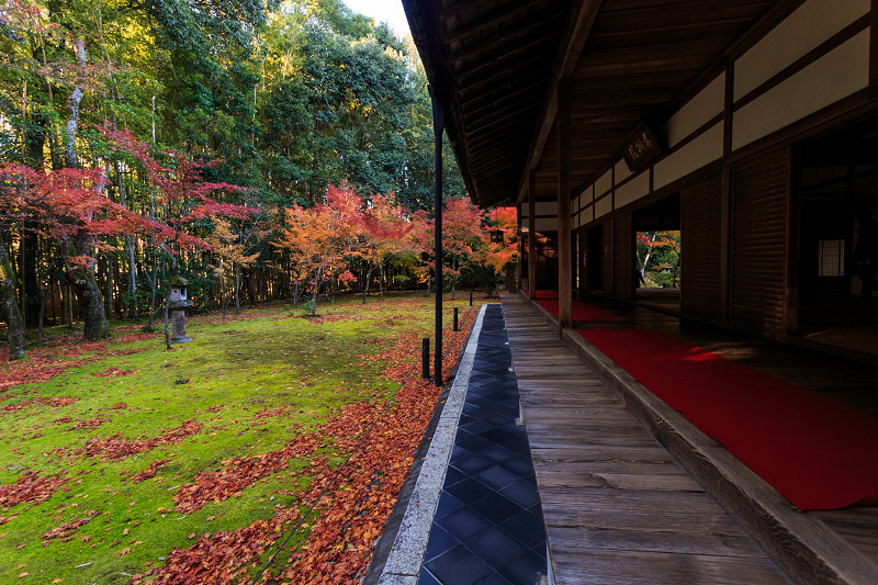 高桐院・晩秋_f0155048_1847366.jpg