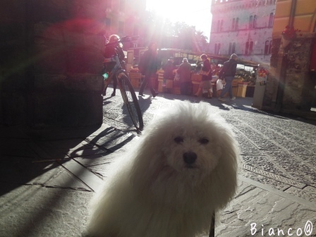 イタリアで～美容院に行った！（第３弾！）_d0118050_03012066.jpg