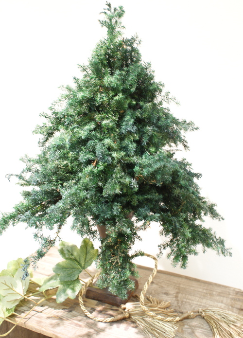 e0123255_11529.jpg