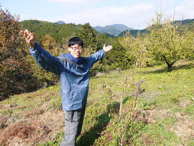 山あいの南高梅 葉の紅葉と樹勢のお話_a0254656_18275145.jpg