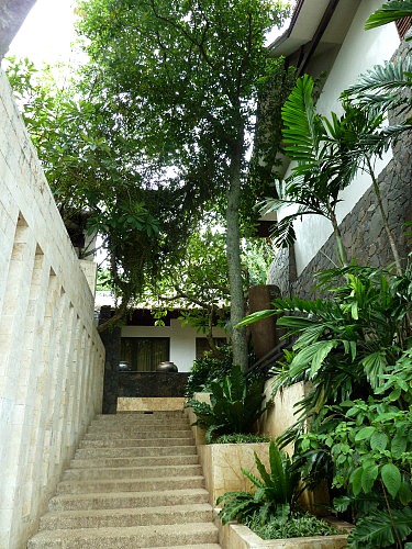 e0176457_8425483.jpg