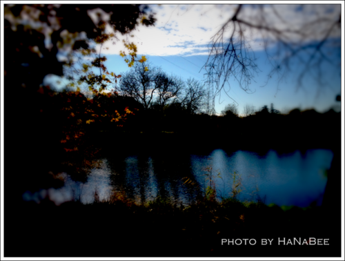a0204258_2246165.png