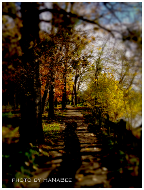 a0204258_22483910.png