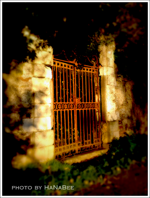 a0204258_22494940.png