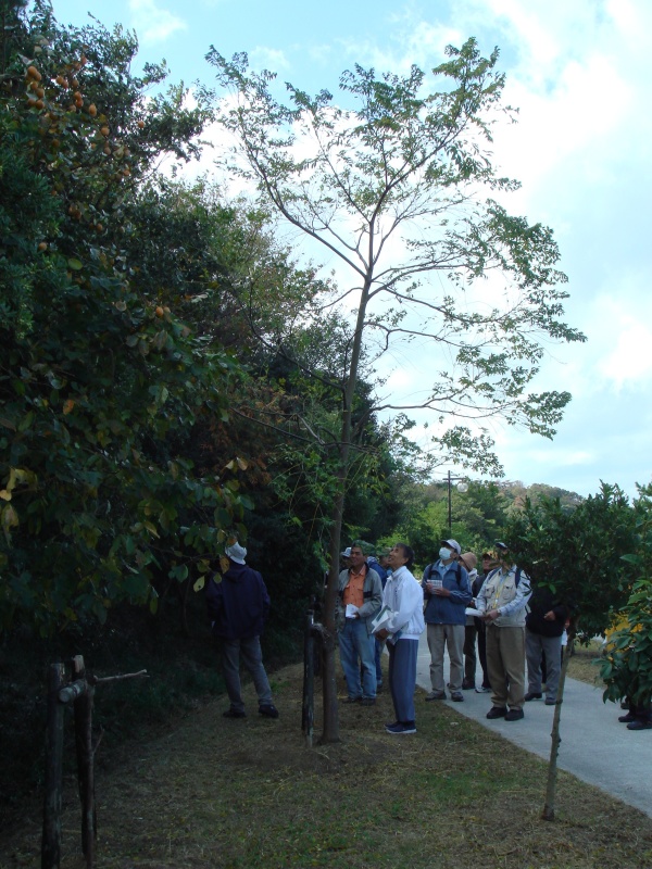 植物観察教室…里海公園海岸林の樹木（約66種類）_c0108460_18025652.jpg