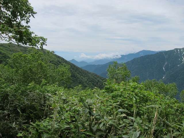 【２０１３年７月１６日　鹿島槍その１　柏原新道から～種池山荘へ】_f0202271_114481.jpg