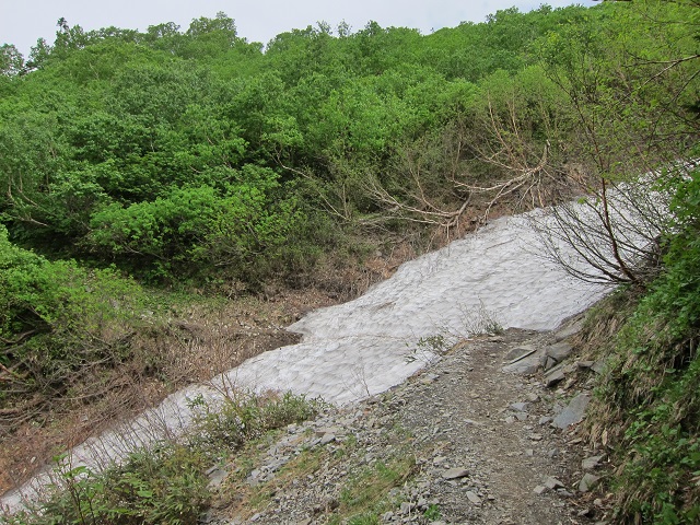 【２０１３年７月１６日　鹿島槍その１　柏原新道から～種池山荘へ】_f0202271_144042.jpg