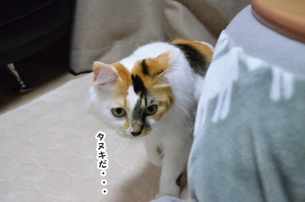 a0266372_23492032.jpg