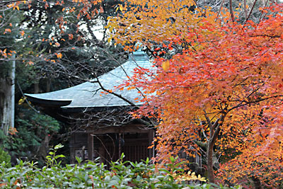 c0152779_1582267.jpg