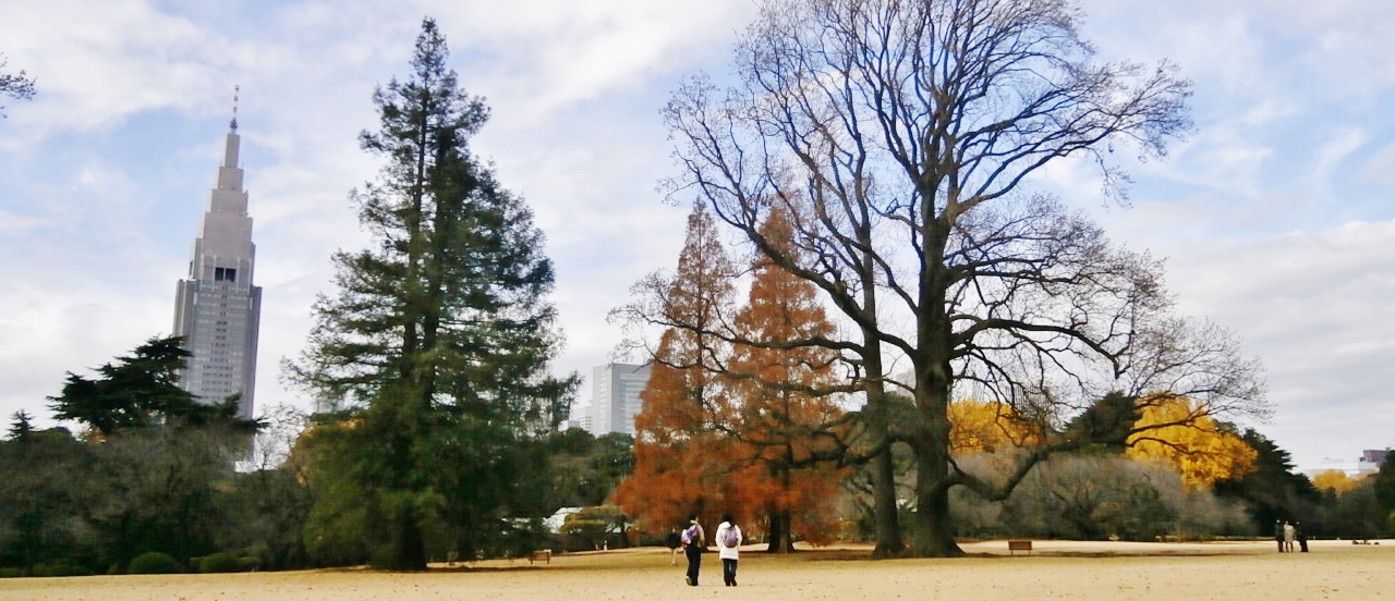 f0007580_2351574.jpg