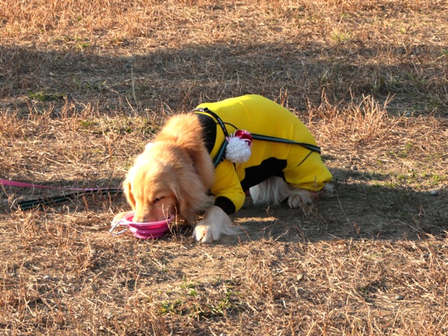 f0230380_21104564.jpg